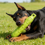 EVA Biting Stick Dog Toy – Dental Chew Resistant