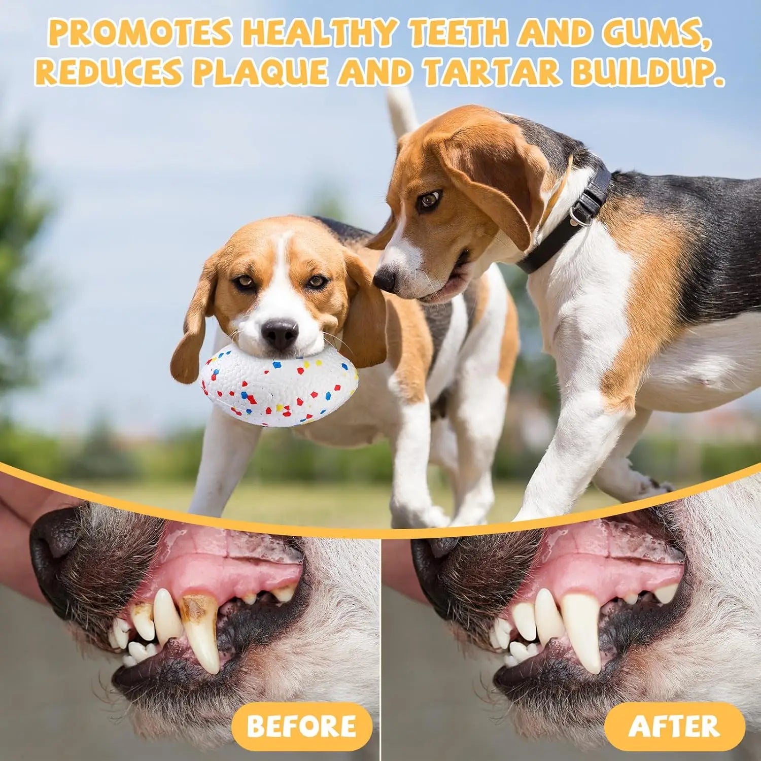 Durable Football Dog Toy for Aggressive Chewers – Floating Fetch