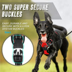 No-Pull Dog Harness Vest – Adjustable Walking Harness with Handle