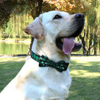 Christmas Dog Collar with Bow Tie – Plaid Snowflake Festive Red