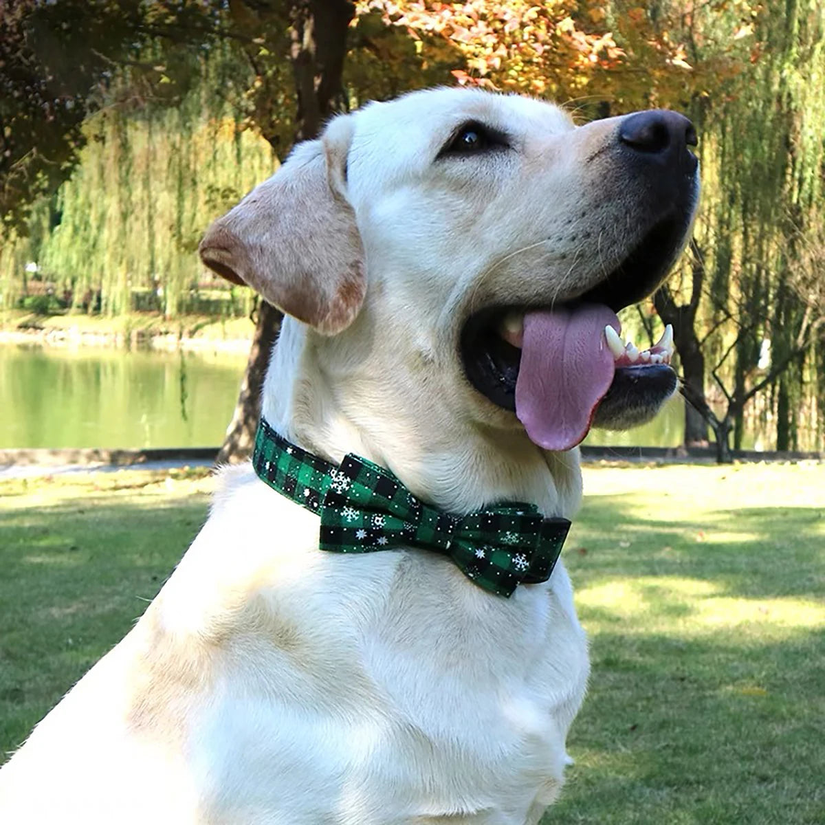 Christmas Dog Collar with Bow Tie – Plaid Snowflake Festive Red
