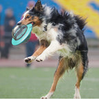 Slow Feed Planet Dog Toy – Interactive IQ Feeder