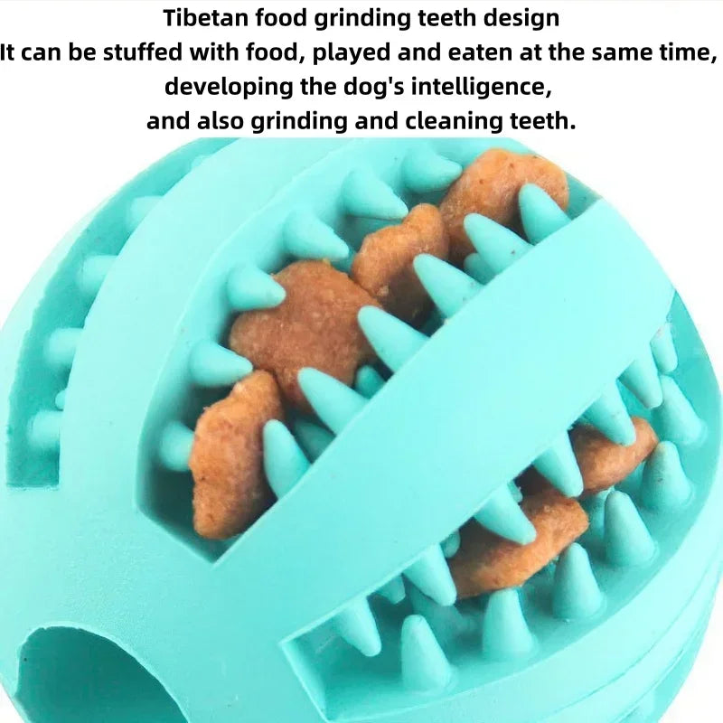 Rubber Chew Ball - Dental Care & Treat Dispensing for Dogs