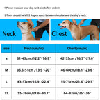 Luxury Dog Harness – No Pull Adjustable Chest Vest