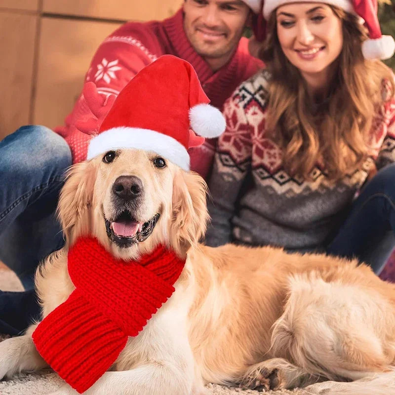 Dog Santa Hat – Small to Medium | Christmas Party Accessory | Red