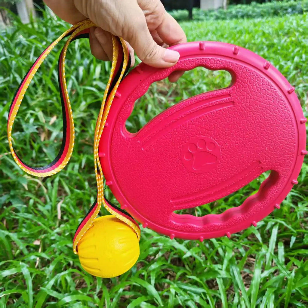 Dog Interactive Toy Set – EVA Rope Ball & Flying Disc