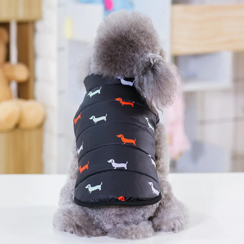 Winter Coat for Small Dogs – Insulated Cotton Jacket for Chihuahua