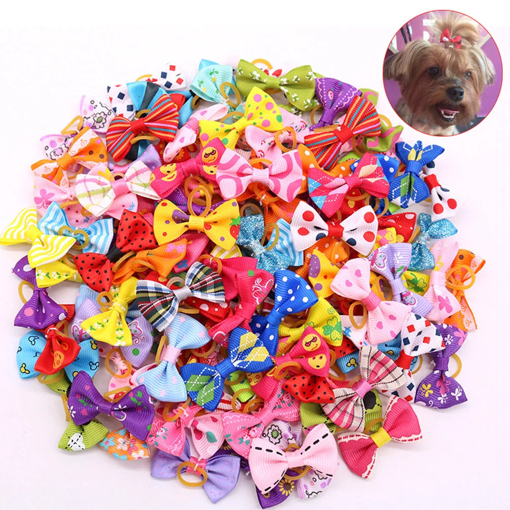 Colorful Small Dog Bows Kit – 10/20/30 Pieces with Rubber Bands for Small Breeds