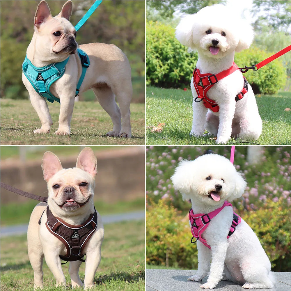 Dog Harness & Leash Set – Padded Adjustable Vest
