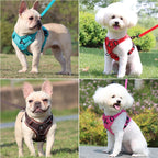 Dog Harness & Leash Set – Padded Adjustable Vest