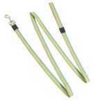 Dog Training Leash – 2M Non-Slip Control Lead