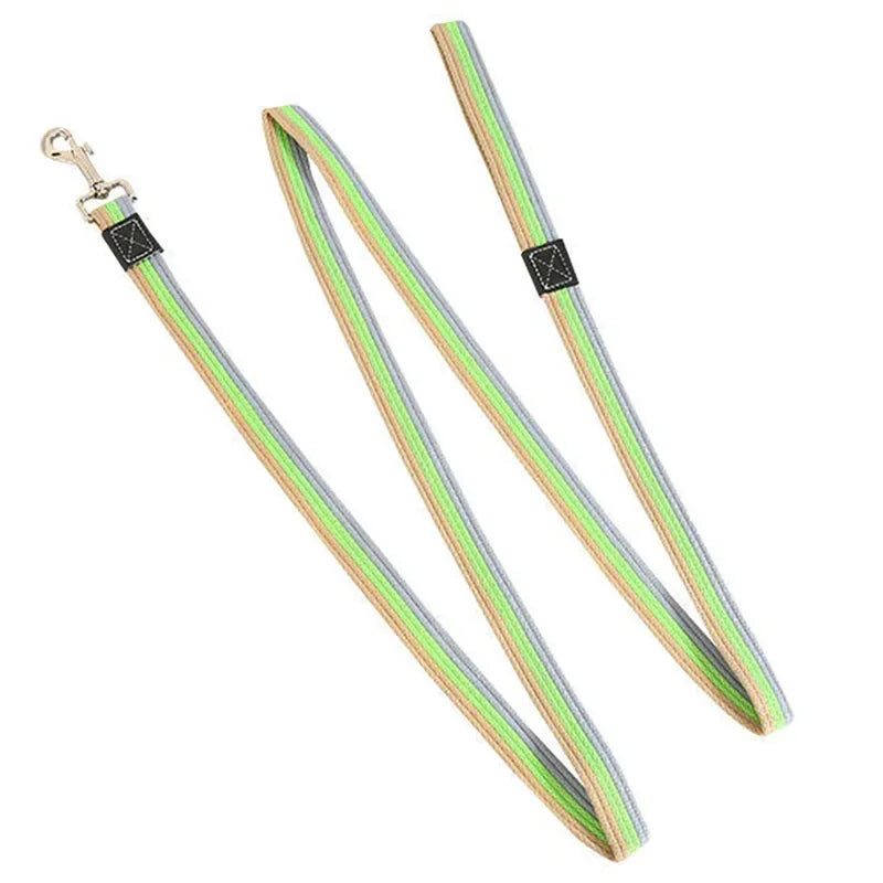 Dog Training Leash – 2M Non-Slip Control Lead