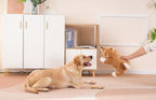 Soft Coral Fleece Dog Blanket 60x40cm – Cozy Washable Winter Throw