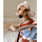 Color Block Striped Dog Sweater – Warm Winter Knit for Small Dogs