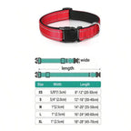 Reflective Dog Collar – Soft Padded Adjustable Night Safety