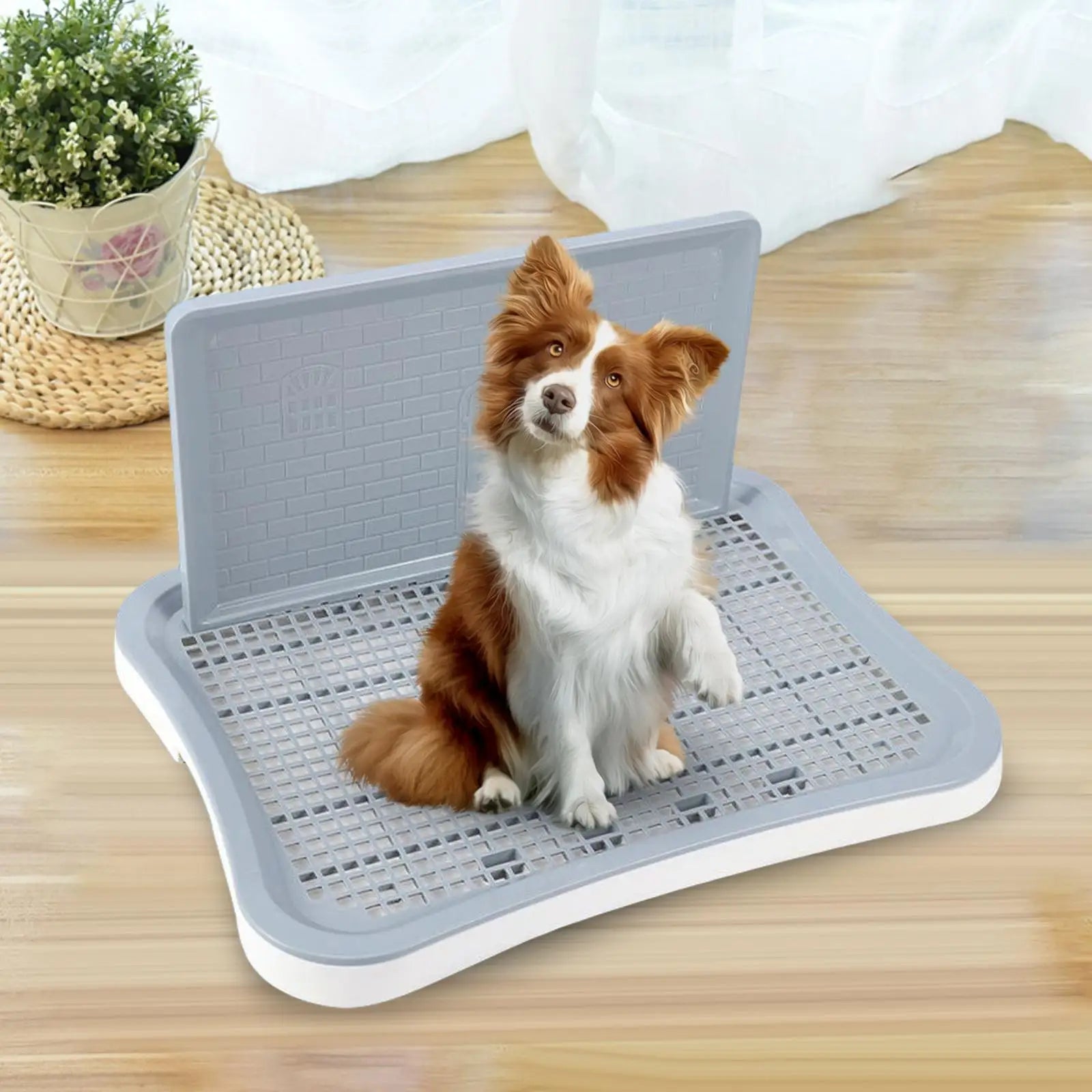 Dog Potty Tray with Wall – Anti-Splash Toilet