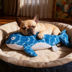 Whale Plush Dog Toy – Squeaky Interactive for All Sizes