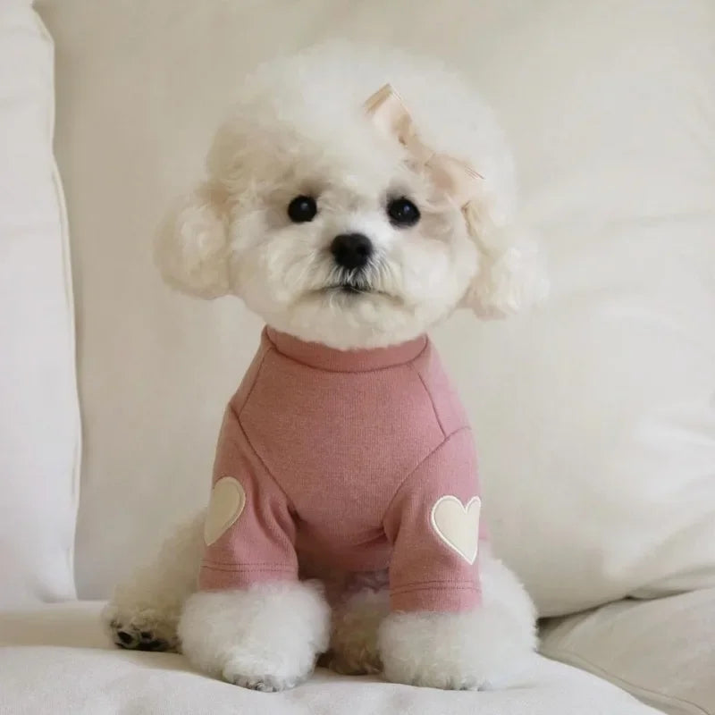 Cute Bear Dog Hoodie – Soft Winter Pet Sweater