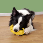TPR Teeth Cleaning Dog Chew Toy for Small & Medium