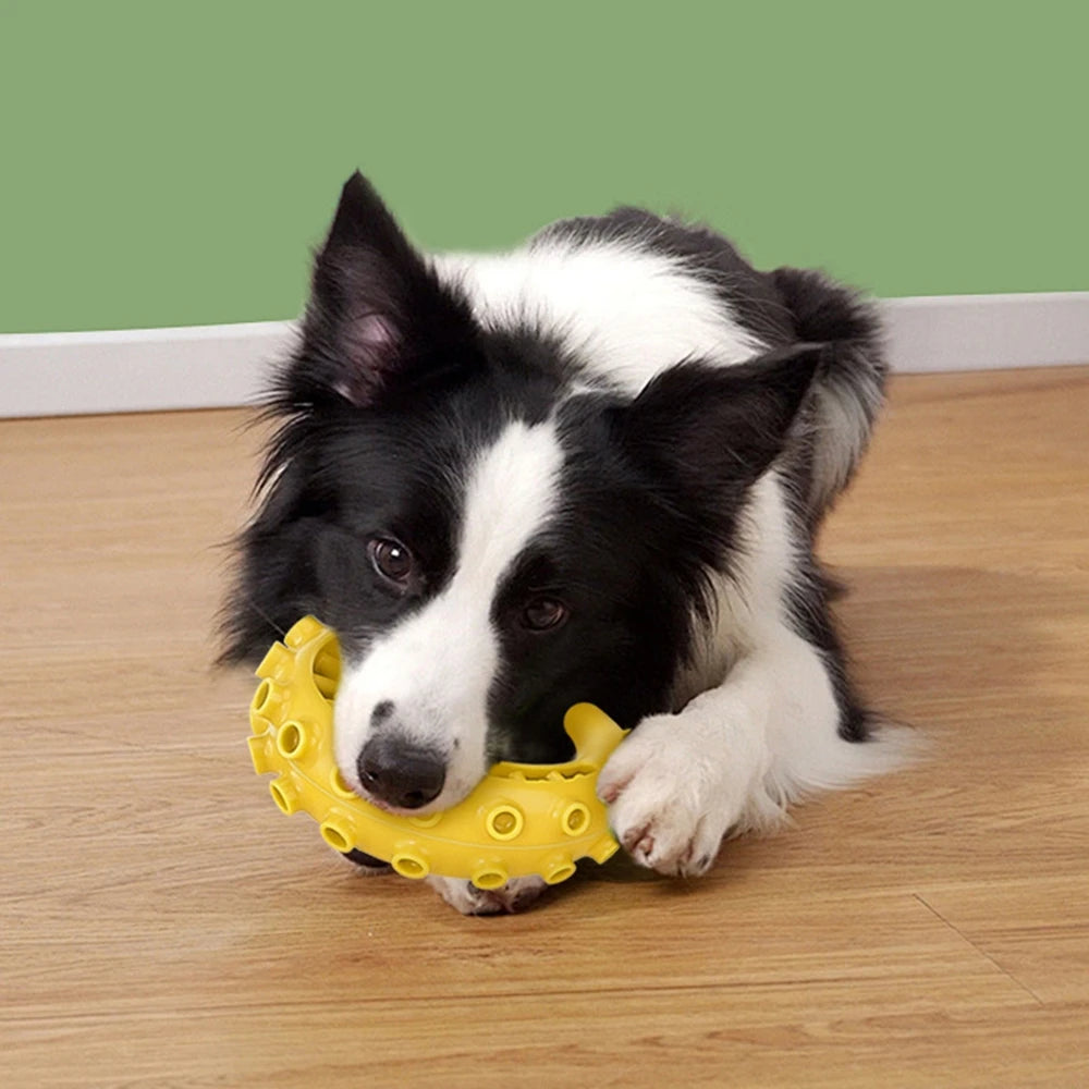 TPR Teeth Cleaning Dog Chew Toy for Small & Medium