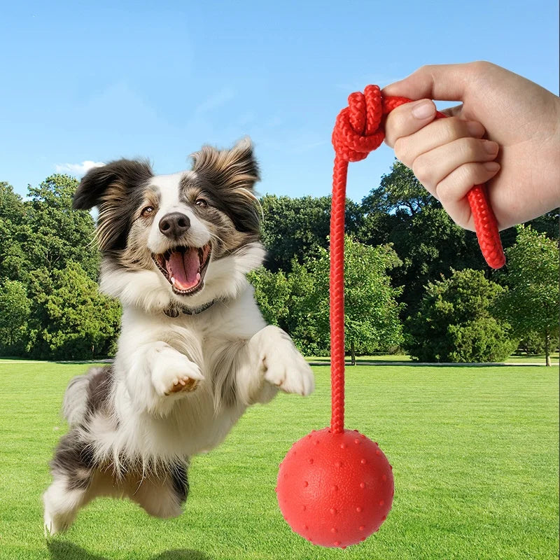 Solid Rubber Ball with Rope – Indestructible Dog Training Toy