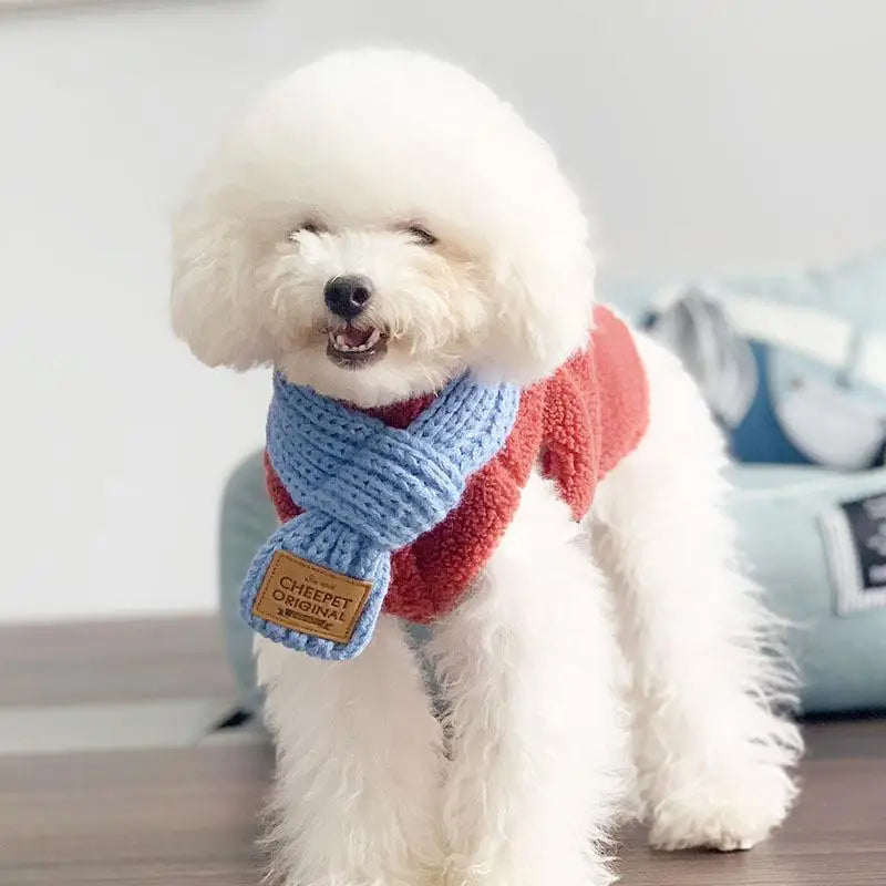 Korean Style Knitted Dog Scarf – Winter Warm Bow, One Size
