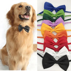 Nylon Bow Tie Dog Collar – Adjustable Stylish Accessory