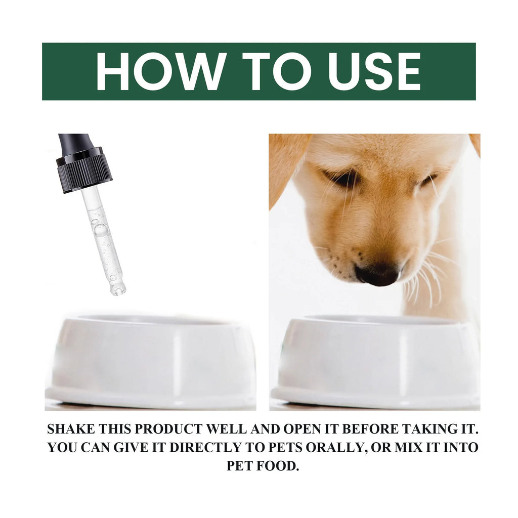 Daily Dog Probiotic Drops – Digestive Health & Stomach Support