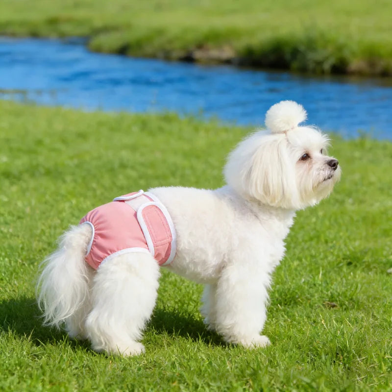 Female Dog Diapers – Reusable Waterproof Washable Pants