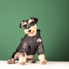 WANGUPET Windproof Dog Jacket | Reflective Winter Coat | Small & Medium Dogs
