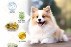 Anti-Itch Dog Wash Shampoo – Flea & Mite Relief Deodorizing Formula