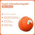 Smart Dog Ball 8cm – Automatic Waterproof Interactive Toy