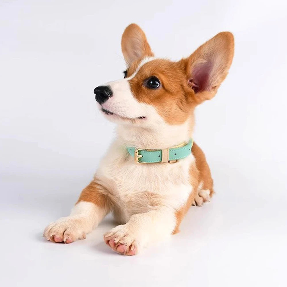 Leather Dog Collar with Anti-Loss Ring – Adjustable S-XL Walking Collar