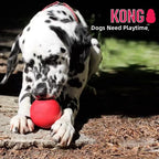 KONG Rubber Chew Ball – Treat Dispensing Dog Toy for Large Dogs