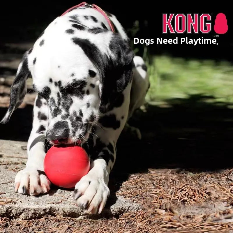 KONG Rubber Chew Ball – Treat Dispensing Dog Toy for Large Dogs
