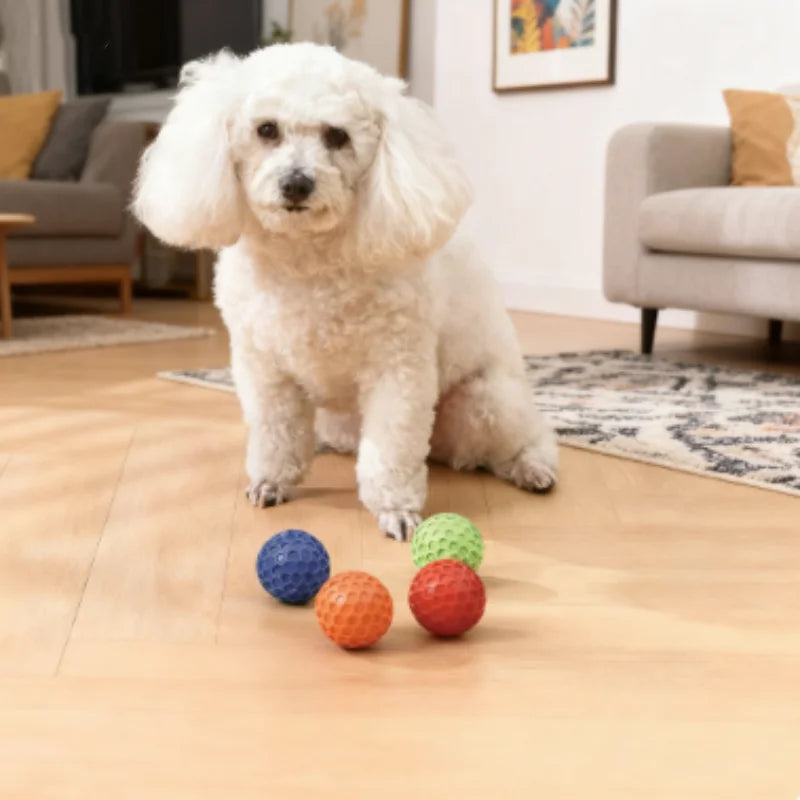 Interactive Rubber Ball – Dental Toy for All Breeds, Non-Electrical Chew