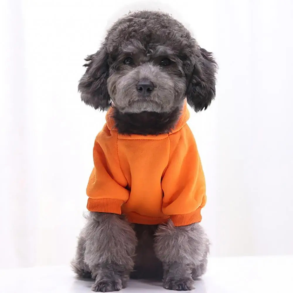 Dog Hooded Sweatshirt – Warm Winter Coat for Small Dogs