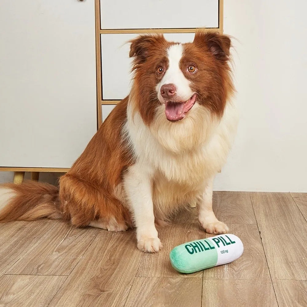 Pill-Shaped Plush Puppy Toy — Soft Bite-Resistant Interactive for Training & Teething Relief