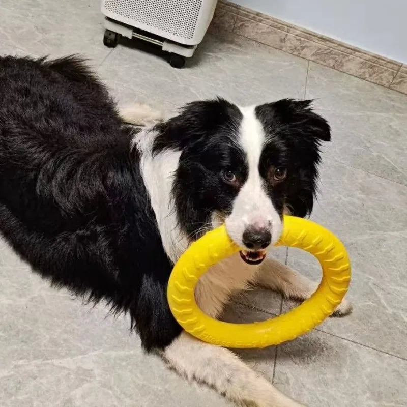 Indestructible Dog Ring Toy – Floating for All Sizes