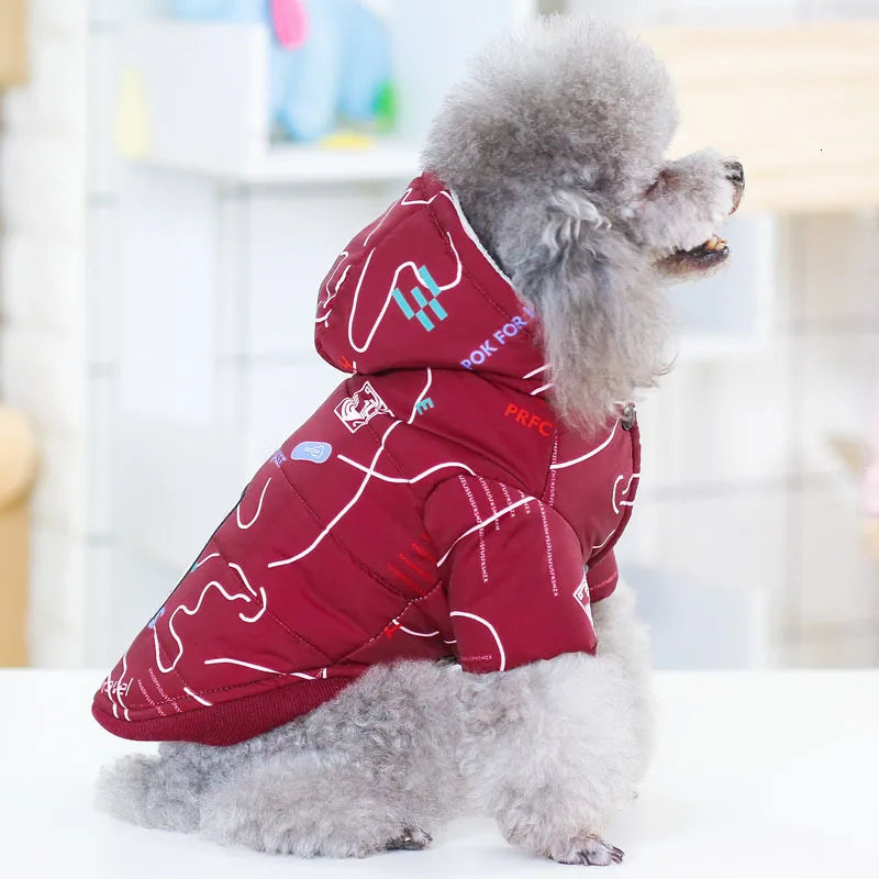 Winter Coat for Small Dogs – Insulated Cotton Jacket for Chihuahua