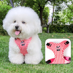 Luxury Dog Harness Set – Stylish Leash & Plush Design