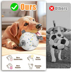 Dog Soccer Ball with Rope – Durable Fetch & Tug Toy