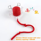 Automatic Rolling Dog Ball – Rechargeable Smart Interactive Toy
