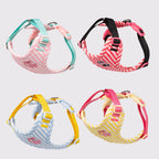 Luxury Dog Harness Set – Stylish Leash & Plush Design
