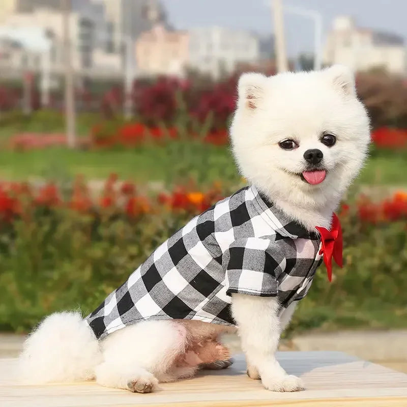 Plaid Dog Vest Coat – Formal Outfit for Small to Medium Dogs