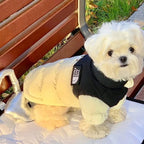 Warm Cotton Dog Coat – Blue Teddy Fleece Winter Jacket