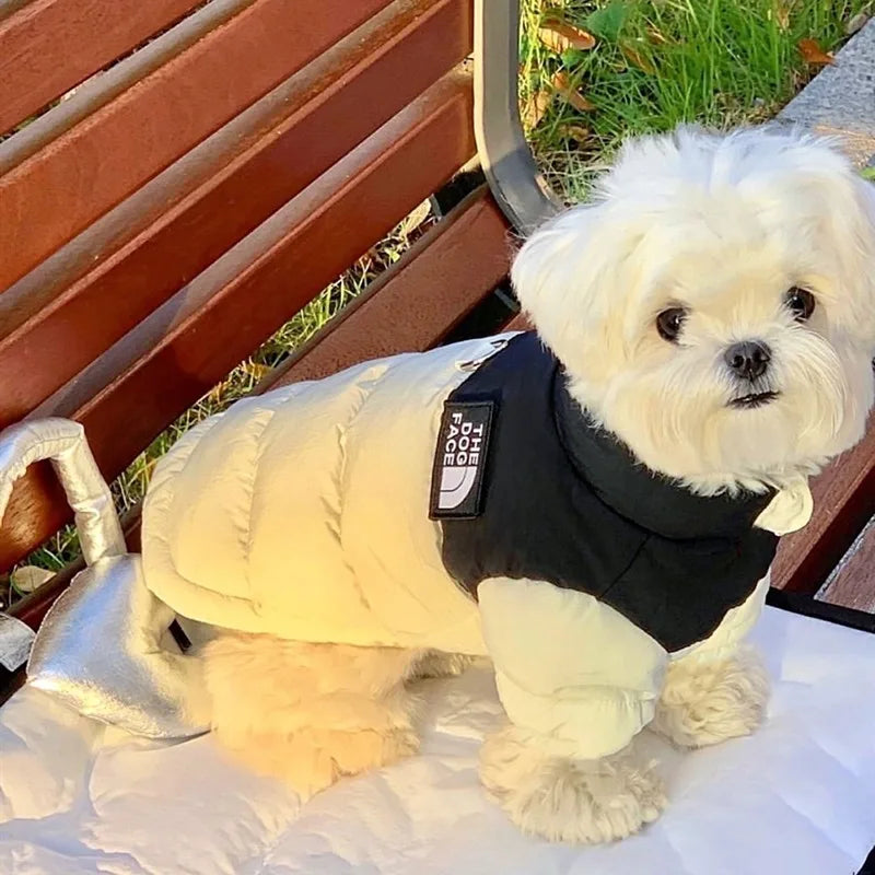 Warm Cotton Dog Coat – Blue Teddy Fleece Winter Jacket