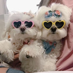 Fashion Heart Dog Sunglasses – Lightweight Photo Accessory