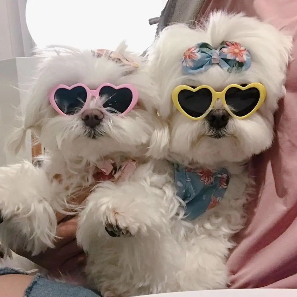 Fashion Heart Dog Sunglasses – Lightweight Photo Accessory