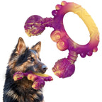 Beef Flavor Dog Chew Toy – Durable Squeaky Training Aid
